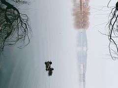 -颐和园