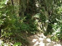 -王顺山国家森林公园