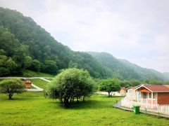 -大水川景区