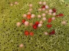 -星巴克(无锡百联奥特莱斯店)