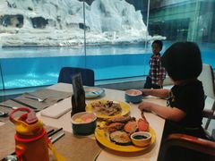 -帝企鹅自助餐厅•儿童岛•真企鹅(长隆企鹅酒店)