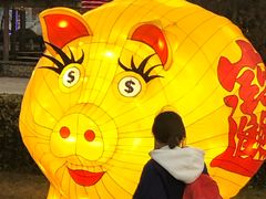 -锦江乐园舞狸花花游园会(夜场专享)