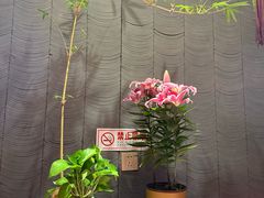 -鸽子张·家宴(黄辛庄旗舰店)