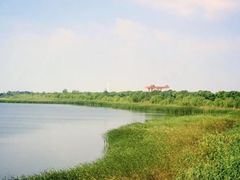 -大湾区中央湿地公园