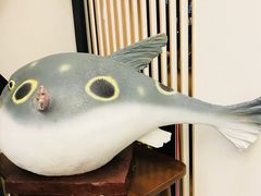 -肆月河豚·新淮扬(金融街店)