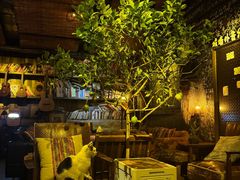 -城墙外BAR