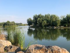 -马家湾湿地公园