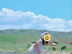 -新疆那拉提国家旅游度假区