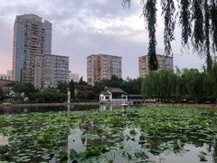 -团结湖公园