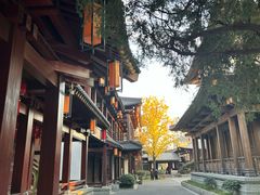 -香积寺