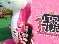-巨鹏飞梦幻海岸