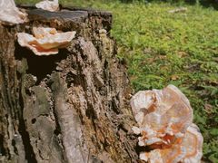 -松花湖风景名胜区