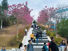 -盈香心动乐园