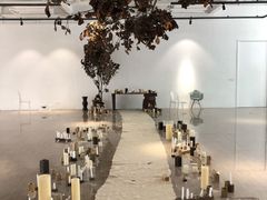 -桉树林A coffee 森林餐厅(三圣乡店)