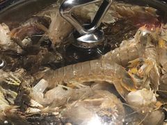 -加餐海鲜自助(宝龙一城店)