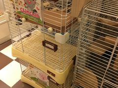 -龙猫仔乐园(惠福东路店)