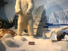 -陕西自然博物馆