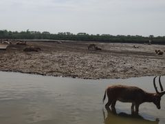 -宁波杭州湾国家湿地公园