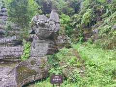 -梭布垭石林景区