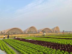 -中国天府农业博览园