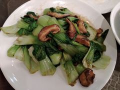 香菇菜心-护国寺小吃(机场店)