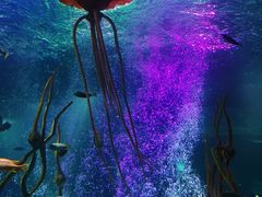 -沈阳海洋探索中心