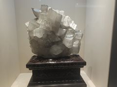 -安徽省地质博物馆