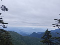 -瓦屋山景区
