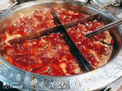 -大龙火锅(老店)