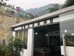 -老幺泉水鸡