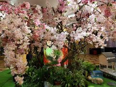 -上海月星家居(澳门路店)
