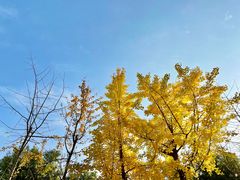 -一佳烤铺(丽江景苑店)