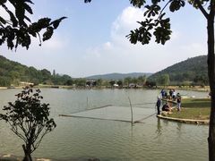 -龙寺生态园