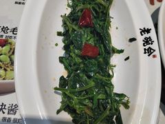 -老碗会·陕西手工面(燕南路店)