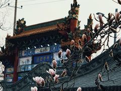 -碑林公园