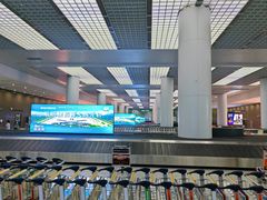 -青岛胶东国际机场