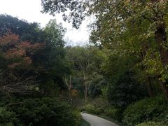 -南山风景名胜区