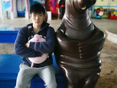 -芜湖新华联大白鲸海洋公园