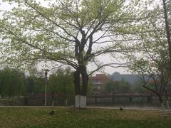 -西南民族大学南区(双流校区)