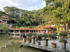-深圳仙湖植物园