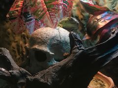 -成都浩海立方海洋公园