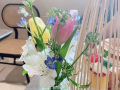 -HUATA 'Holiday Plan 花榻