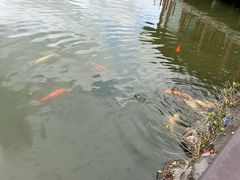 -珠海圆明新园