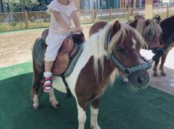 -萌宠亲子动物乐园(槐房万达店)