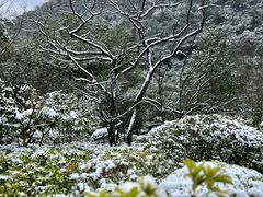 -黔灵山公园