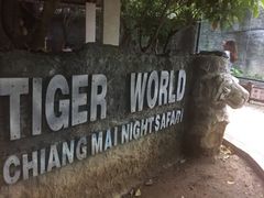 -清迈夜间动物园