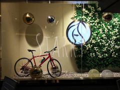 -813芭依珊 BAESAn(汇港购物中心店)