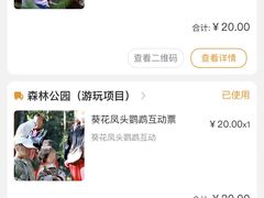 -普洱太阳河森林公园