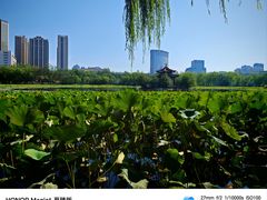 -青城公园