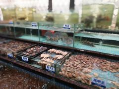 水产区-新海利海鲜城·41年珠海老字号(夏湾店)